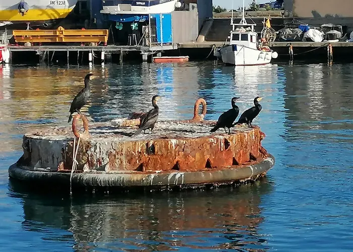 Διαμέρισμα Iris